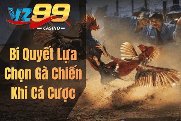 Bí Quyết Lựa Chọn Gà Chiến Khi Cá Cược