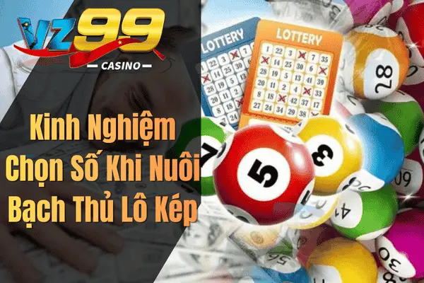 Kinh Nghiệm Chọn Số Khi Nuôi Bạch Thủ Lô Kép