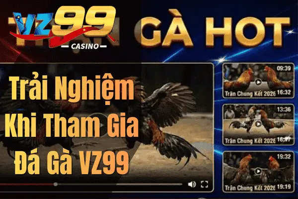 Trải Nghiệm Khi Tham Gia Đá Gà VZ99